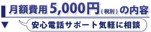 月額5,000円(税別)の内容